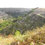 cava misericordia