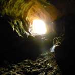 cava misericordia